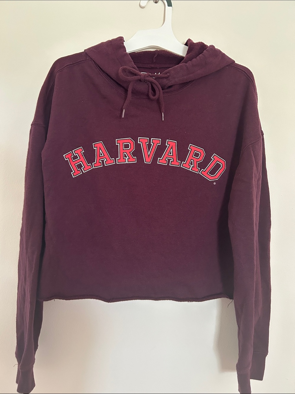 Cropped y2k Harvard Hoodie size M college